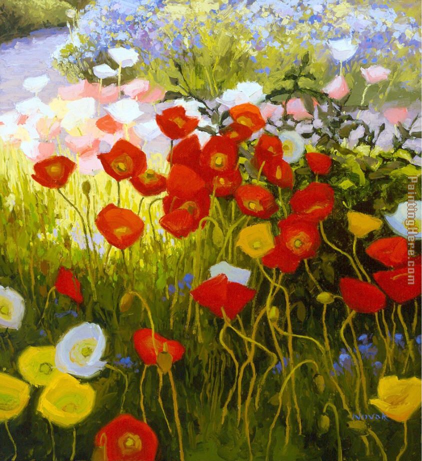 Shadow Poppies, Sunlit Poppies painting - Shirley Novak Shadow Poppies, Sunlit Poppies art painting